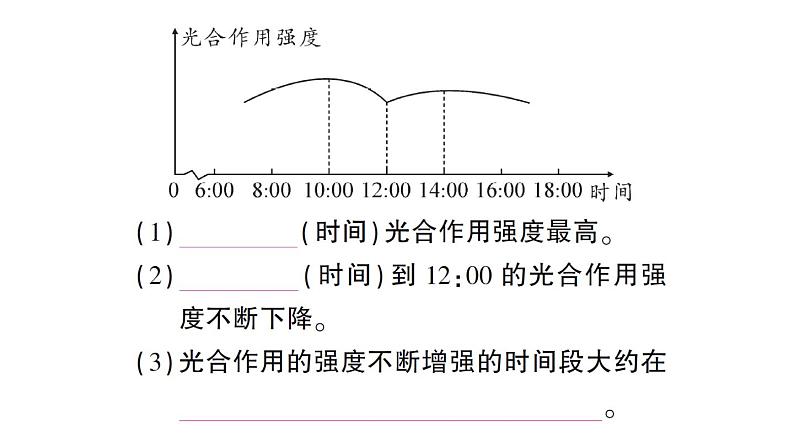 初中数学新北师大版七年级下册第六章4第一课时 曲线型图象作业课件2025春第7页