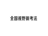 初中数学新北师大版七年级下册第六章全国视野新考法作业课件2025春