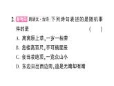 初中数学新北师大版七年级下册第六章全国视野新考法作业课件2025春