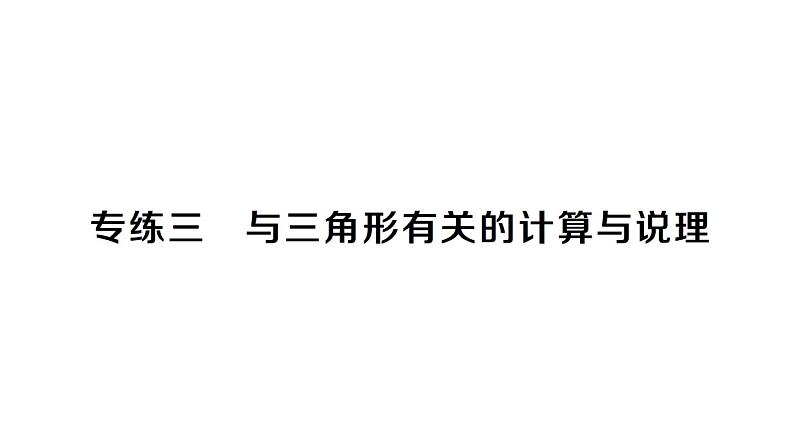 初中数学新北师大版七年级下册专练三 与三角形有关的计算与说理作业课件2025春第1页