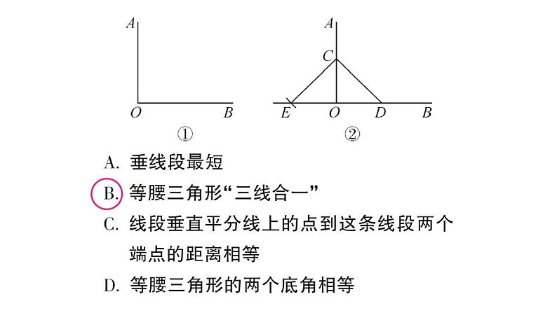 初中数学新北师大版七年级下册专练四 网格作图与尺规作图作业课件2025春第8页