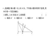 初中數(shù)學(xué)新北師大版七年級下冊第四章 三角形綜合訓(xùn)練作業(yè)課件2025春季