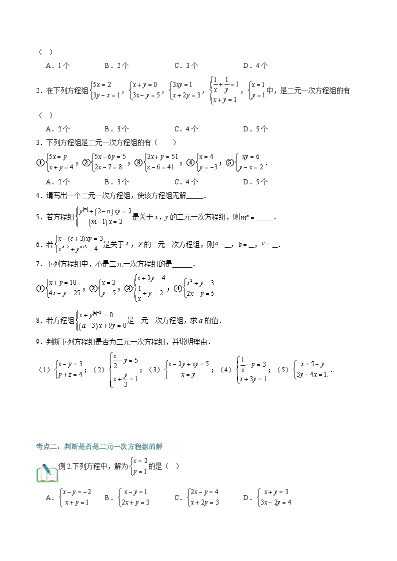 第10讲 二元一次方程组和它的解（2大知识点+3大考点+过关测）（原卷版）第2页