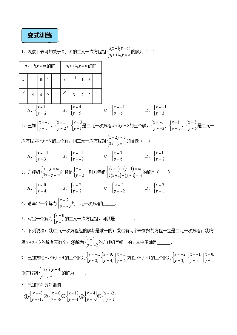 第10讲 二元一次方程组和它的解（2大知识点+3大考点+过关测）（原卷版）第3页