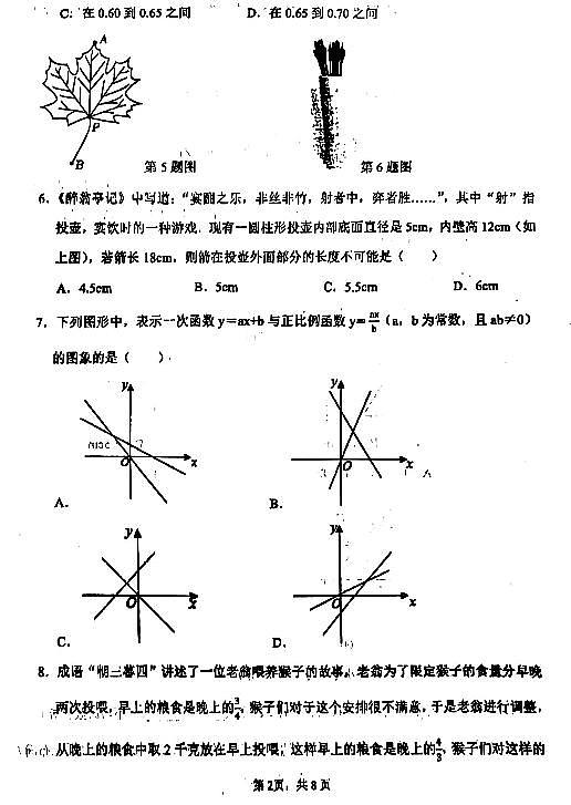 郑州市第四十七初级中学2024-2025上学期八年级期末模拟数学试卷及答案第2页