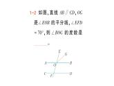 初中數(shù)學(xué)新北師大版七年級下冊第二章3平行線的性質(zhì)作業(yè)課件2025年春