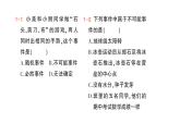 初中数学新北师大版七年级下册第三章1感受可能性作业课件2025年春
