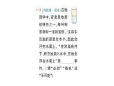 初中数学新北师大版七年级下册第三章1感受可能性作业课件2025年春