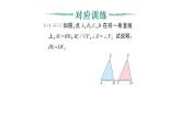 初中數(shù)學新北師大版七年級下冊第四章專題八 全等三角形的基礎模型——平移、對稱、作業(yè)課件2025年春