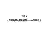 初中數(shù)學新北師大版七年級下冊第四章專題九 全等三角形的基礎模型作業(yè)課件2025年春