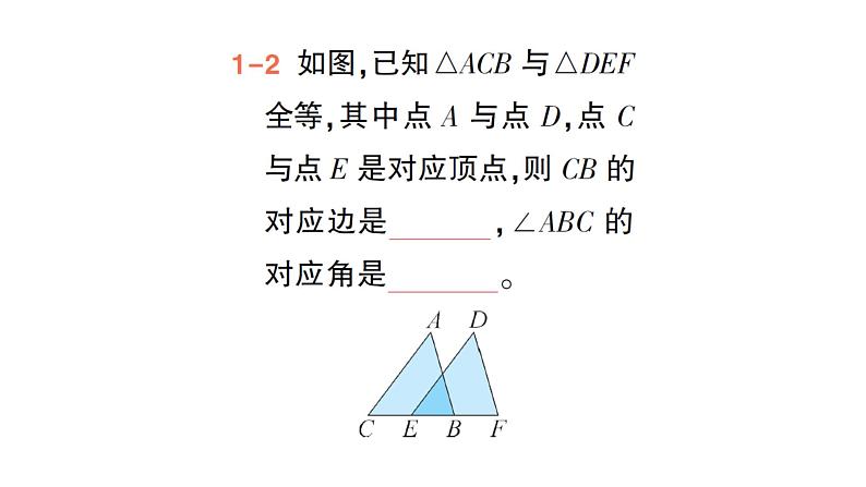 初中数学新北师大版七年级下册第四章2全等三角形作业课件2025年春第5页