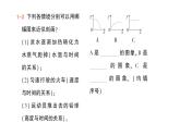 初中數(shù)學(xué)新北師大版七年級下冊第六章4用圖象表示變量之間的關(guān)系作業(yè)課件2025年春