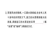 12.1.2 抽樣調(diào)查（習(xí)題課件）2024-2025學(xué)年人教版七年級數(shù)學(xué)下冊