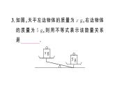 11.1.1 不等式及其解集（习题课件）2024-2025学年人教版七年级数学下册