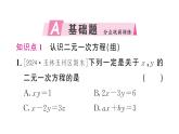 10.1 二元一次方程組的概念（習題課件）2024-2025學年人教版七年級數(shù)學下冊