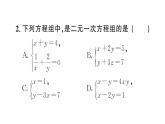 10.1 二元一次方程組的概念（習題課件）2024-2025學年人教版七年級數(shù)學下冊