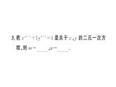 10.1 二元一次方程組的概念（習題課件）2024-2025學年人教版七年級數(shù)學下冊