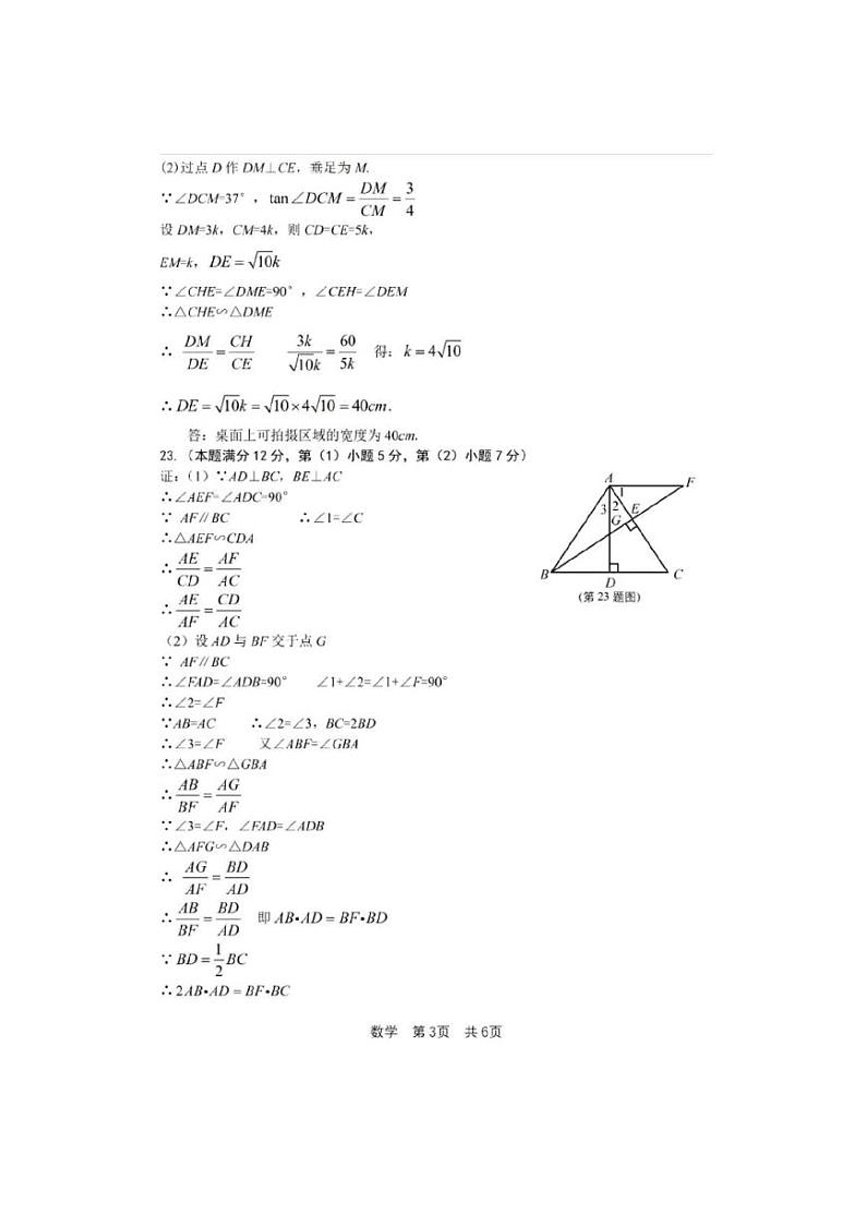 2025年上海市松江区初三数学一模试卷答案和评分标准第3页