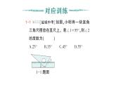 初中數(shù)學(xué)新北師大版七年級下冊第二章專題四 平行線與三角尺作業(yè)課件2025年春