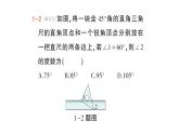 初中數(shù)學(xué)新北師大版七年級下冊第二章專題四 平行線與三角尺作業(yè)課件2025年春