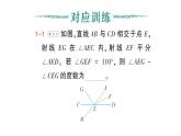 初中數(shù)學(xué)新北師大版七年級下冊第二章專題五 相交線與平行線中的數(shù)學(xué)思想作業(yè)課件2025年春