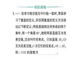 初中數(shù)學(xué)新北師大版七年級下冊第二章專題六 相交線與平行線中的新定義問題作業(yè)課件2025年春