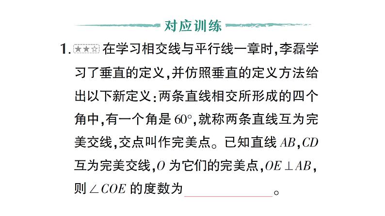 初中数学新北师大版七年级下册第二章专题六 相交线与平行线中的新定义问题作业课件2025年春第5页