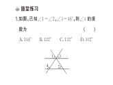 初中數(shù)學(xué)新北師大版七年級下冊第二章3第二課時 平行線的判定與性質(zhì)的綜合應(yīng)用課堂作業(yè)課件2025春