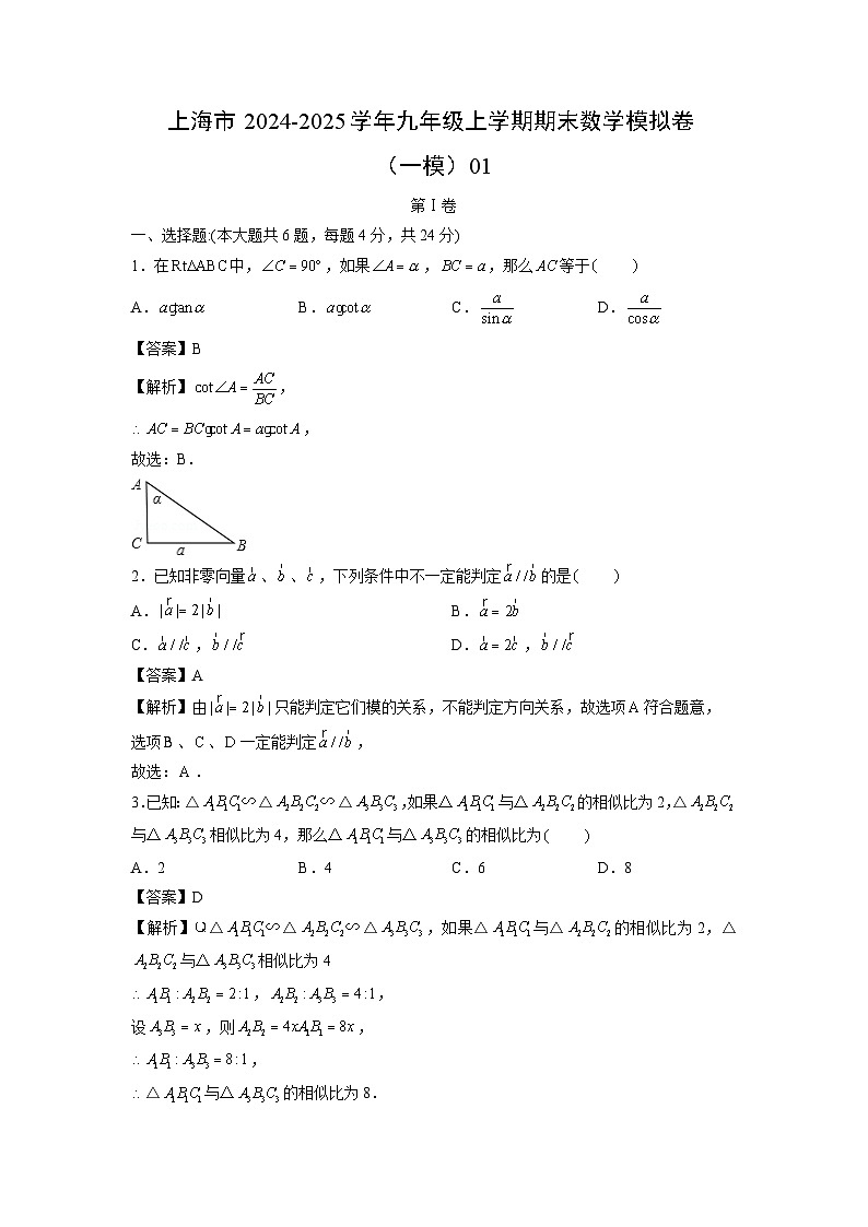 2024~2025学年上海市九年级上学期期末模拟卷（一模）01数学试卷（解析版）第1页