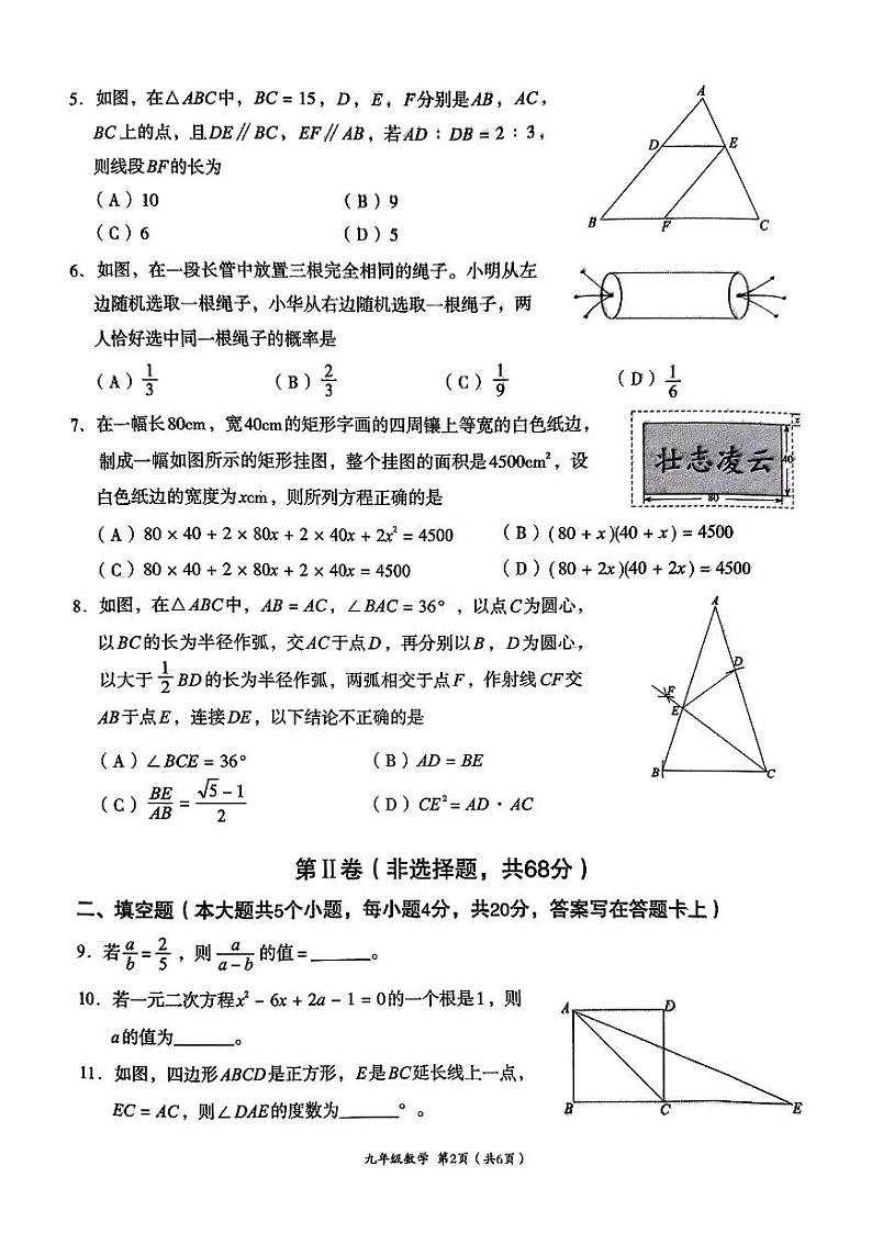 四川省成都市高新区2024-2025学年九年级上学期期末考试 数学试卷（原卷）第2页