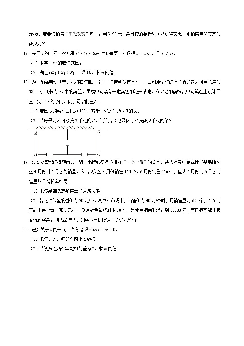 2025中考数学一轮复习讲练 第10讲  一元二次方程（含解析+考点卡片）第3页
