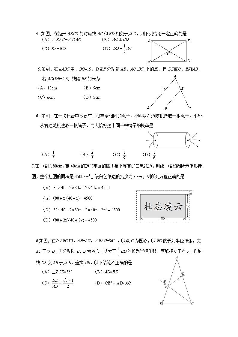 2024-2025学年成都高新区九上数学期末考试试卷【含答案】第2页