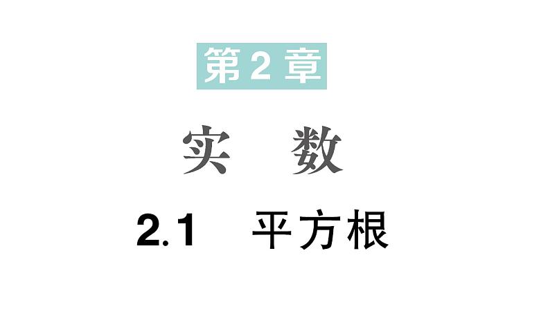 初中数学新湘教版七年级下册2.1 平方根作业课件2025春第1页