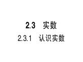 初中數(shù)學新湘教版七年級下冊2.3.1 認識實數(shù)作業(yè)課件2025春