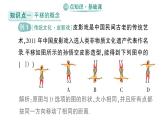 初中數(shù)學(xué)新湘教版七年級(jí)下冊(cè)4.2 平移作業(yè)課件2025春