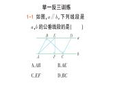 初中數(shù)學(xué)新湘教版七年級(jí)下冊(cè)4.6 兩條平行線間的距離作業(yè)課件2025春