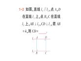 初中數(shù)學(xué)新湘教版七年級(jí)下冊(cè)4.6 兩條平行線間的距離作業(yè)課件2025春