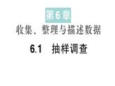 初中數(shù)學(xué)新湘教版七年級下冊6.1 抽樣調(diào)查作業(yè)課件2025春