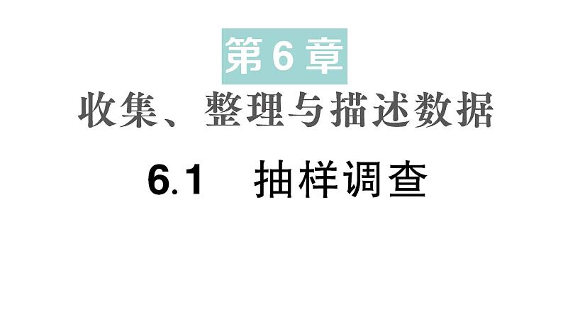 初中数学新湘教版七年级下册6.1 抽样调查作业课件2025春第1页