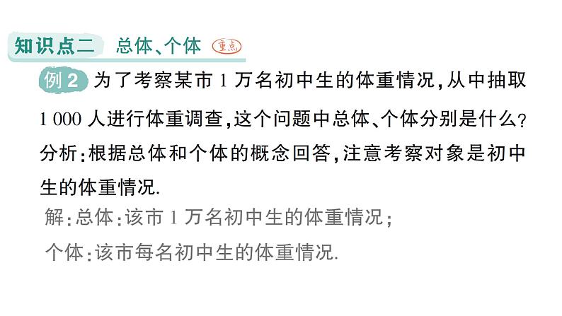 初中数学新湘教版七年级下册6.1 抽样调查作业课件2025春第7页