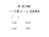 初中数学新湘教版七年级下册1.1.4 单项式的乘法作业课件2025春