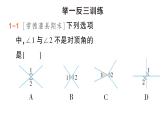 初中數(shù)學(xué)新湘教版七年級下冊4.1.2 相交直線所成的角作業(yè)課件2025春