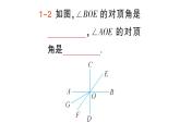 初中數(shù)學(xué)新湘教版七年級下冊4.1.2 相交直線所成的角作業(yè)課件2025春