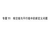 初中數(shù)學新湘教版七年級下冊第4章專題11 相交線與平行線中的新定義問題作業(yè)課件2025春