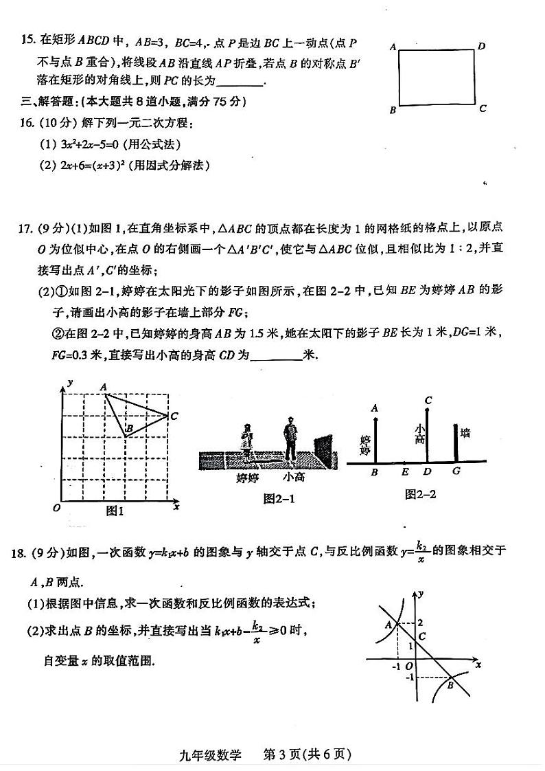平顶山市2024-2025学年九年级上学期1月期末考试数学试题 及答案第3页