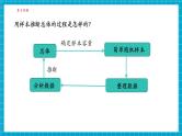【大单元核心素养】湘教版数学九年级上册5.3小结与复习（课件+教案+大单元整体设计）