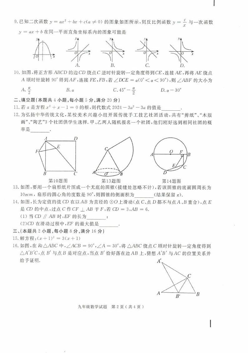 安徽省合肥市庐江县2024-2025学年九年级上学期期末数学试题第2页