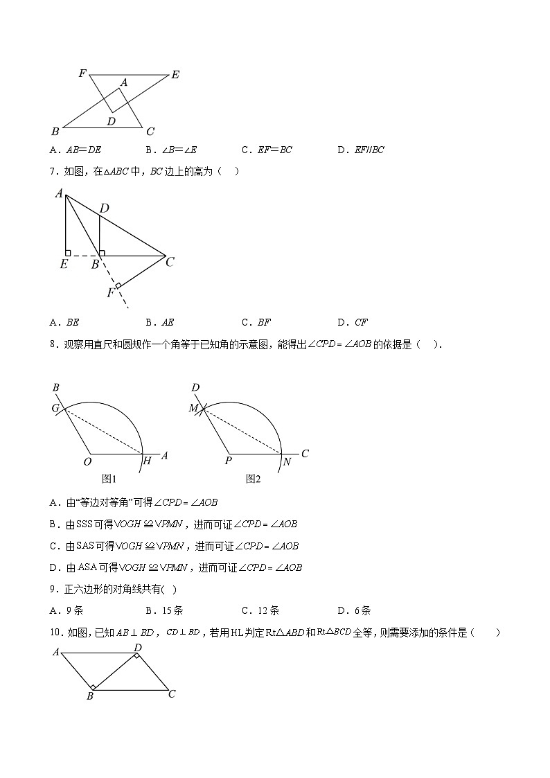 河北省沧州市东光县五校联考2024-2025学年八年级上学期10月月考数学试卷(含解析)第2页