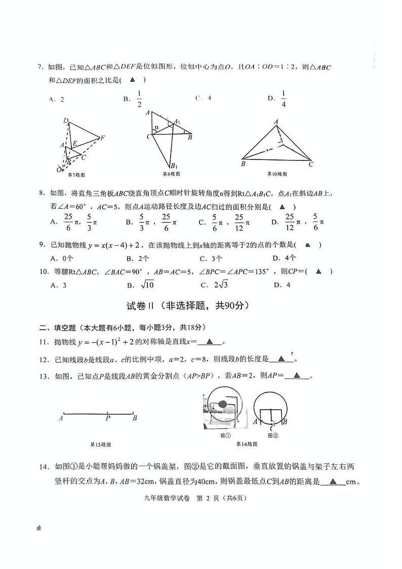 浙江省绍兴市诸暨市2024-2025学年九年级上学期1月期末考试数学试卷第2页
