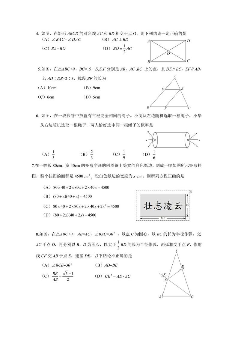 2024～2025学年四川省成都市高新区九年级上期末考试数学试卷(含答案)第2页